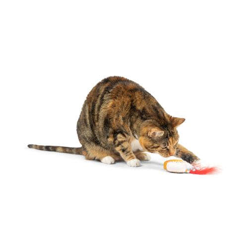 G-House Cat Toy Huxley & Kent