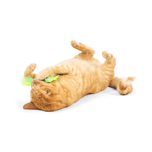 Lappy Taffy Cat Toy
