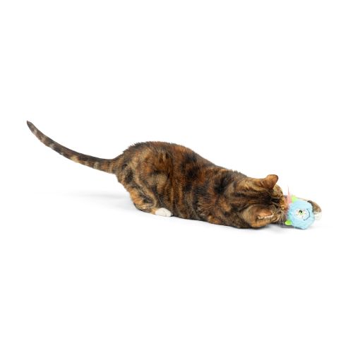 Monster Furr Ball Cat Toy