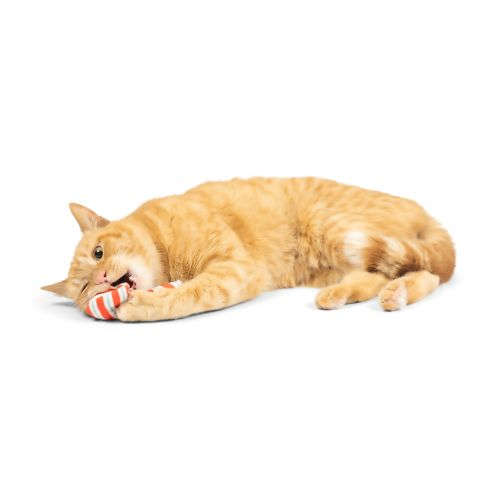 Candycane Nipper Cat Toy Huxley & Kent