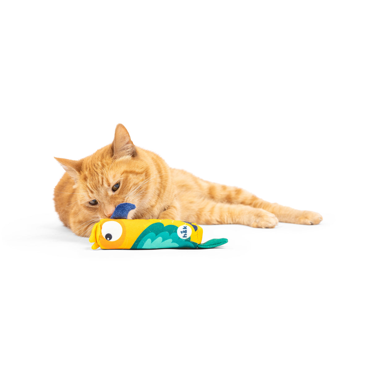 Toucan Nipper Cat Toy