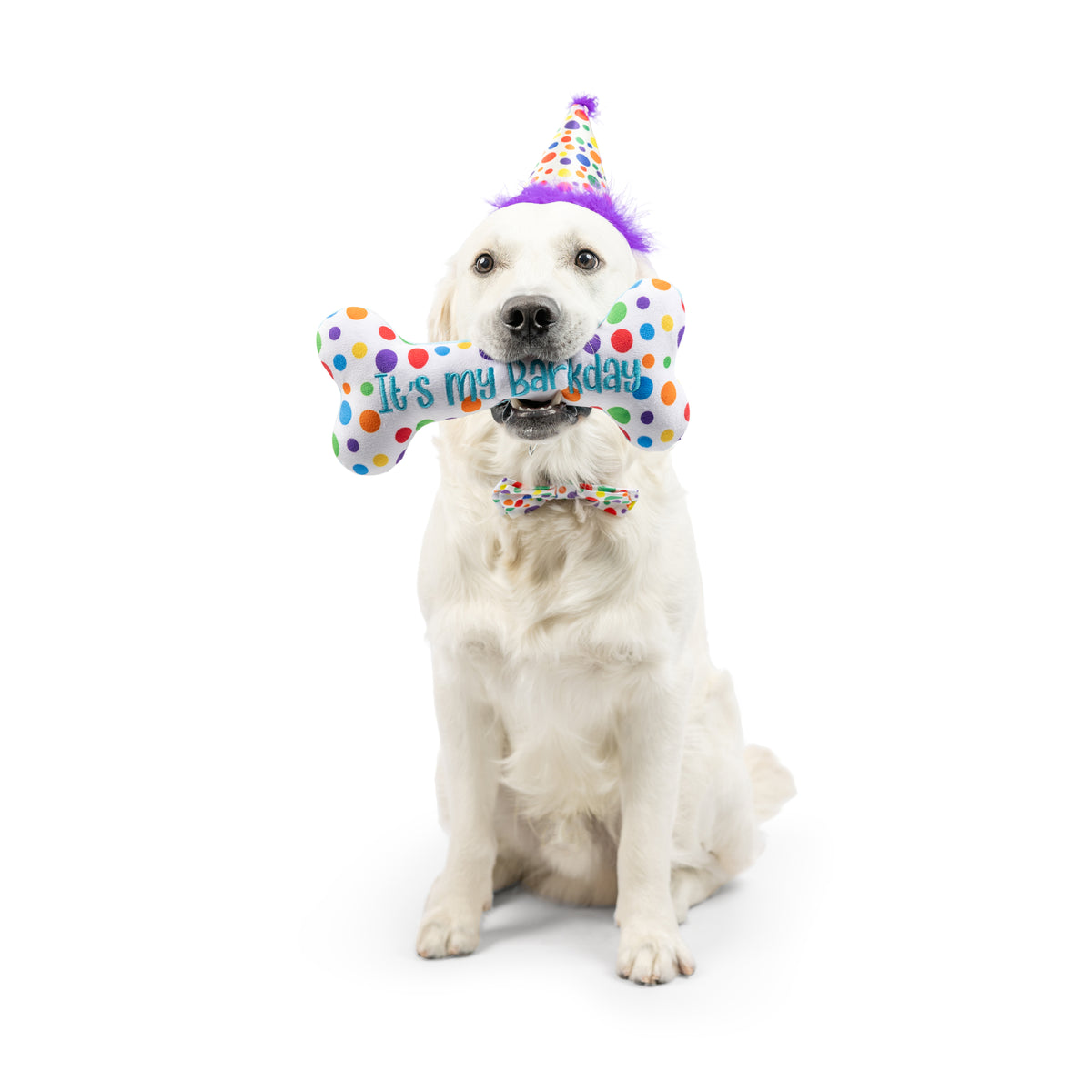 Happy Barkday Celebration Box