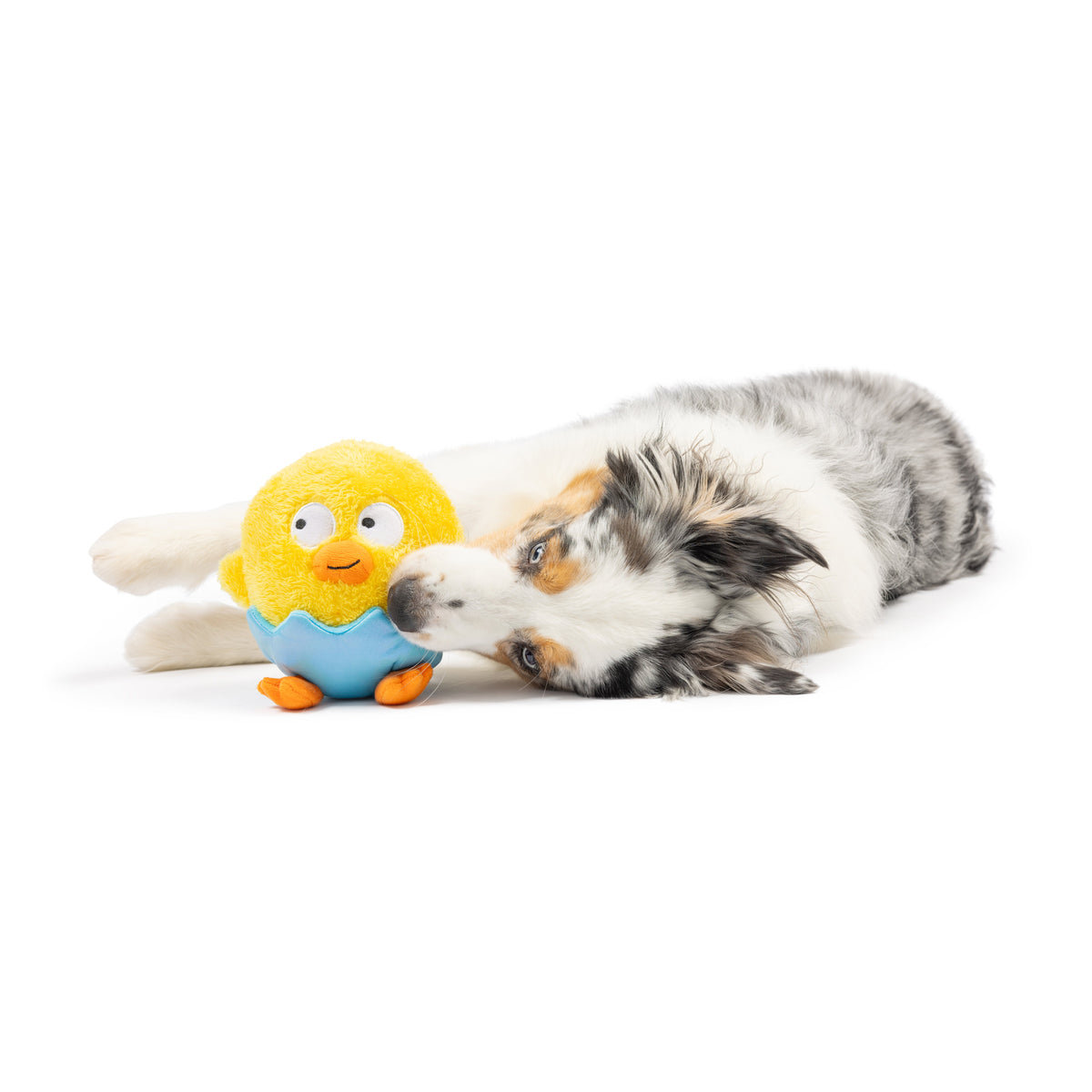 Chick-A-Dee Dog Toy