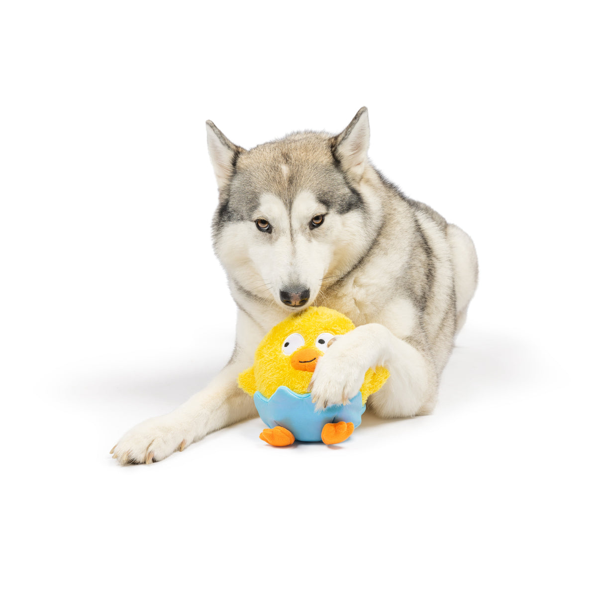 Chick-A-Dee Dog Toy