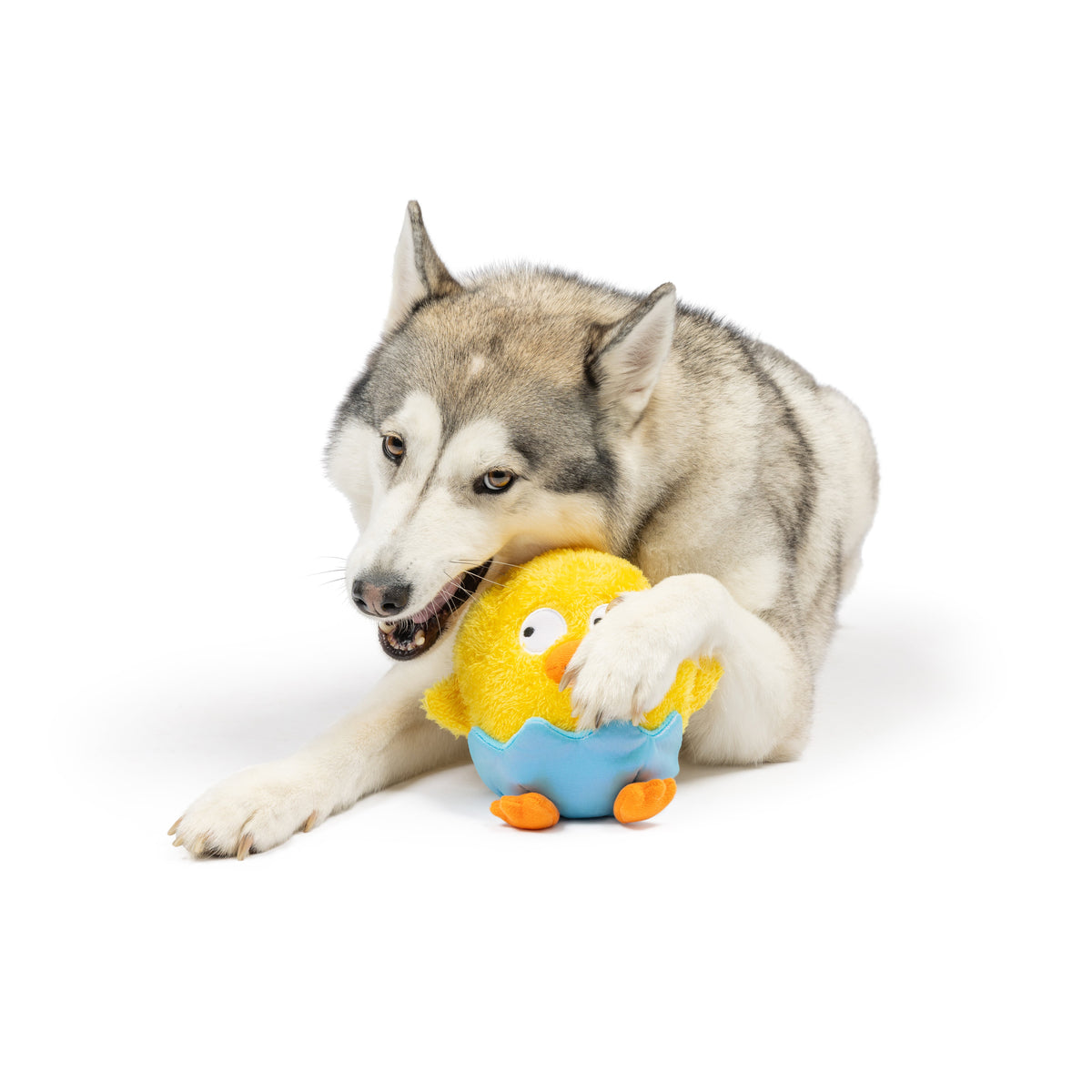 Chick-A-Dee Dog Toy