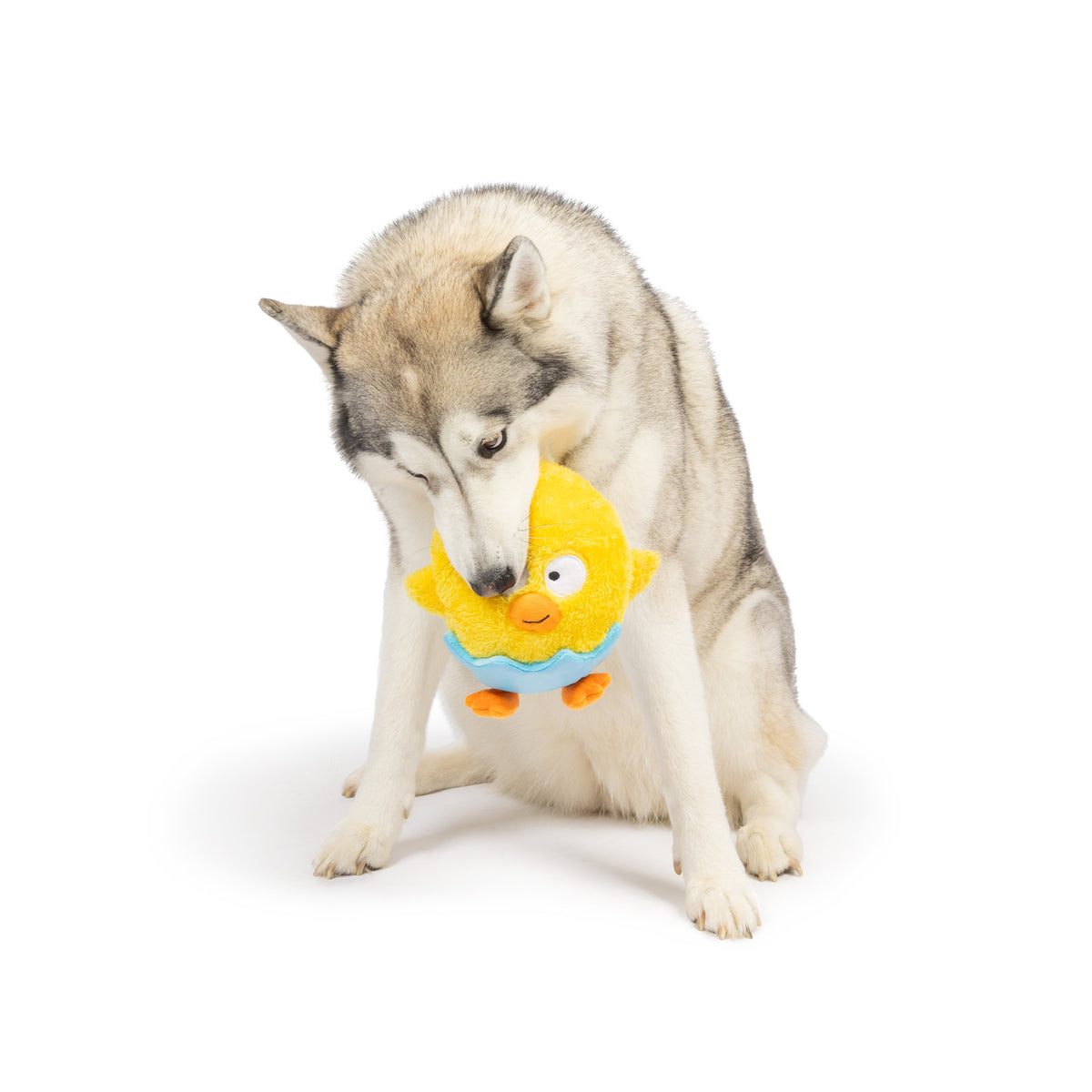 Chick-A-Dee Dog Toy