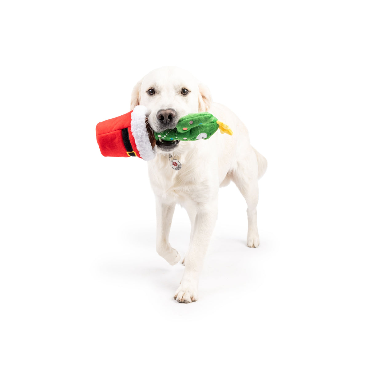 Seek &#39;n Treat Prickly &amp; Bright Pawt Dog Toy