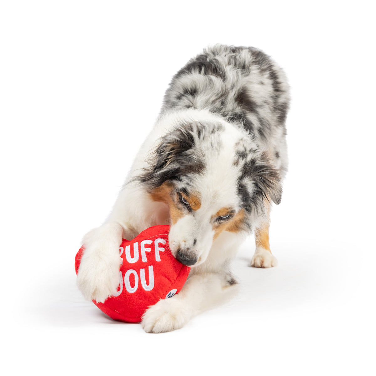 First Lick Heart Dog Toy (Double-Sided)