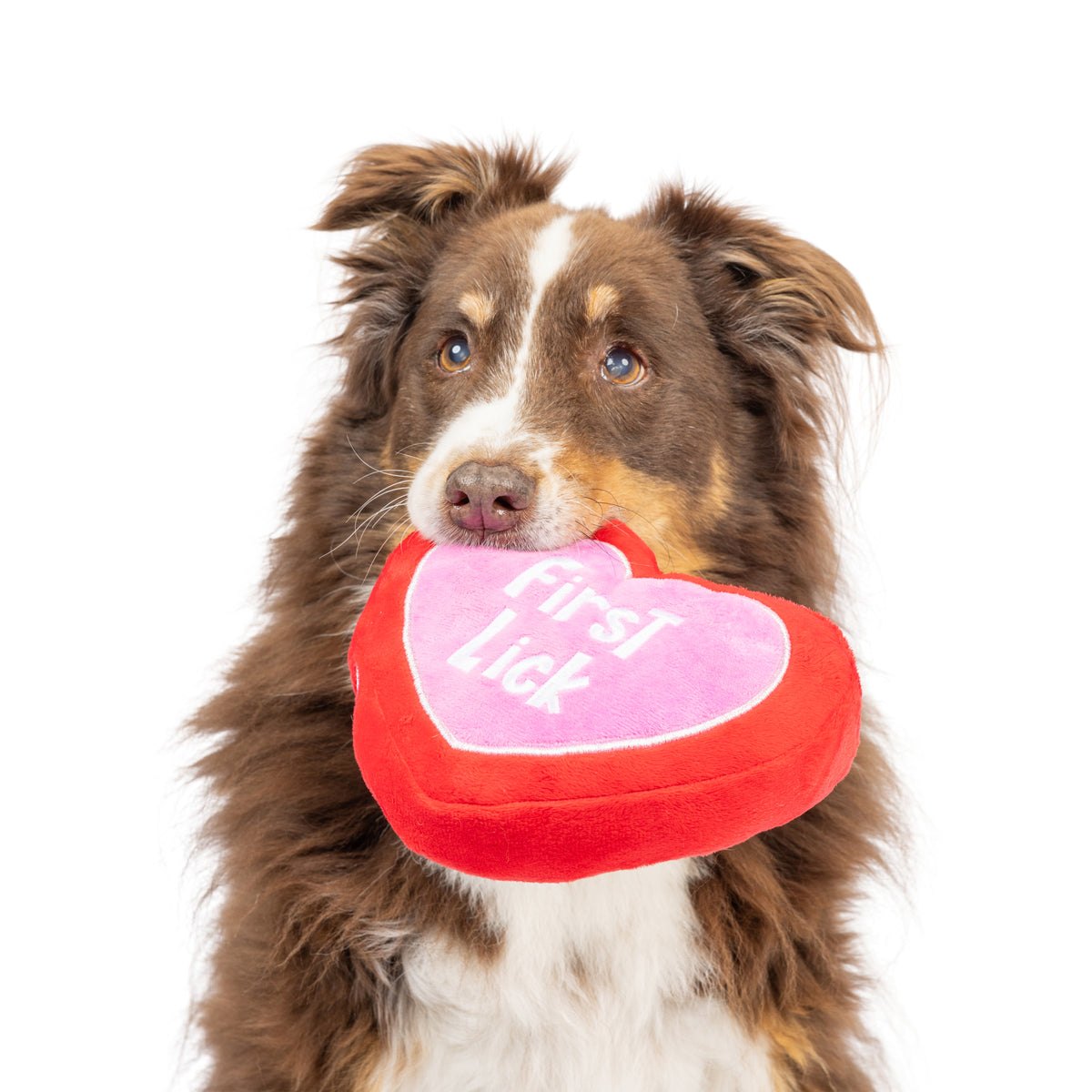 First Lick Heart Dog Toy (Double-Sided)