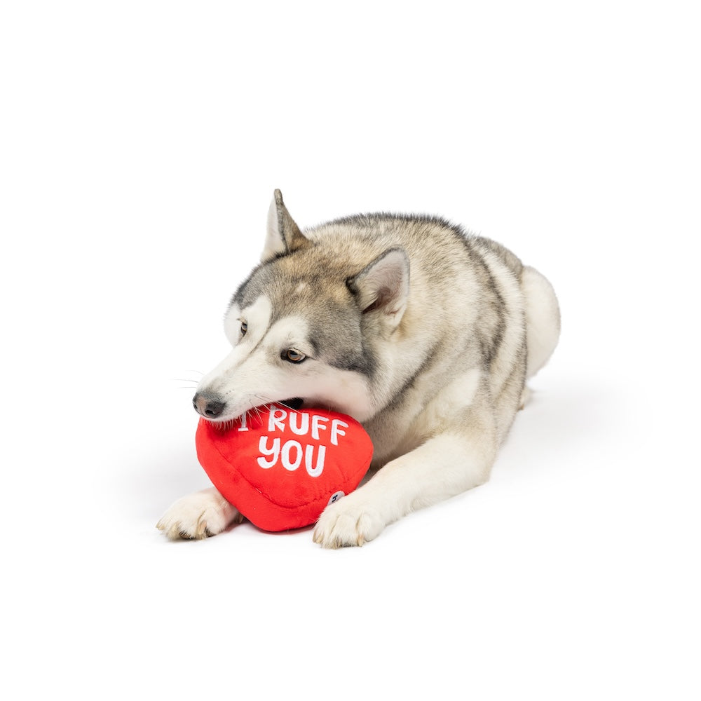 First Lick Heart Dog Toy (Double-Sided)