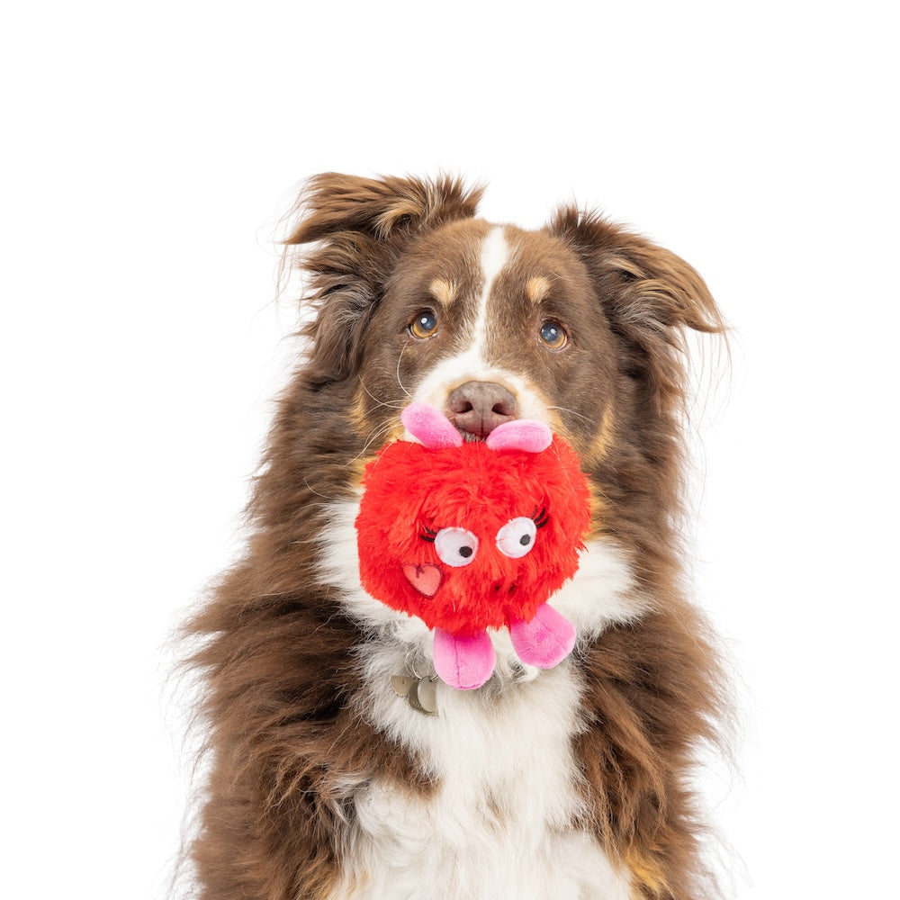 Fur Bug Dog Toy