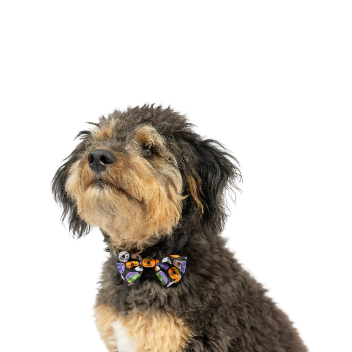 Halloween Donuts Bow Tie