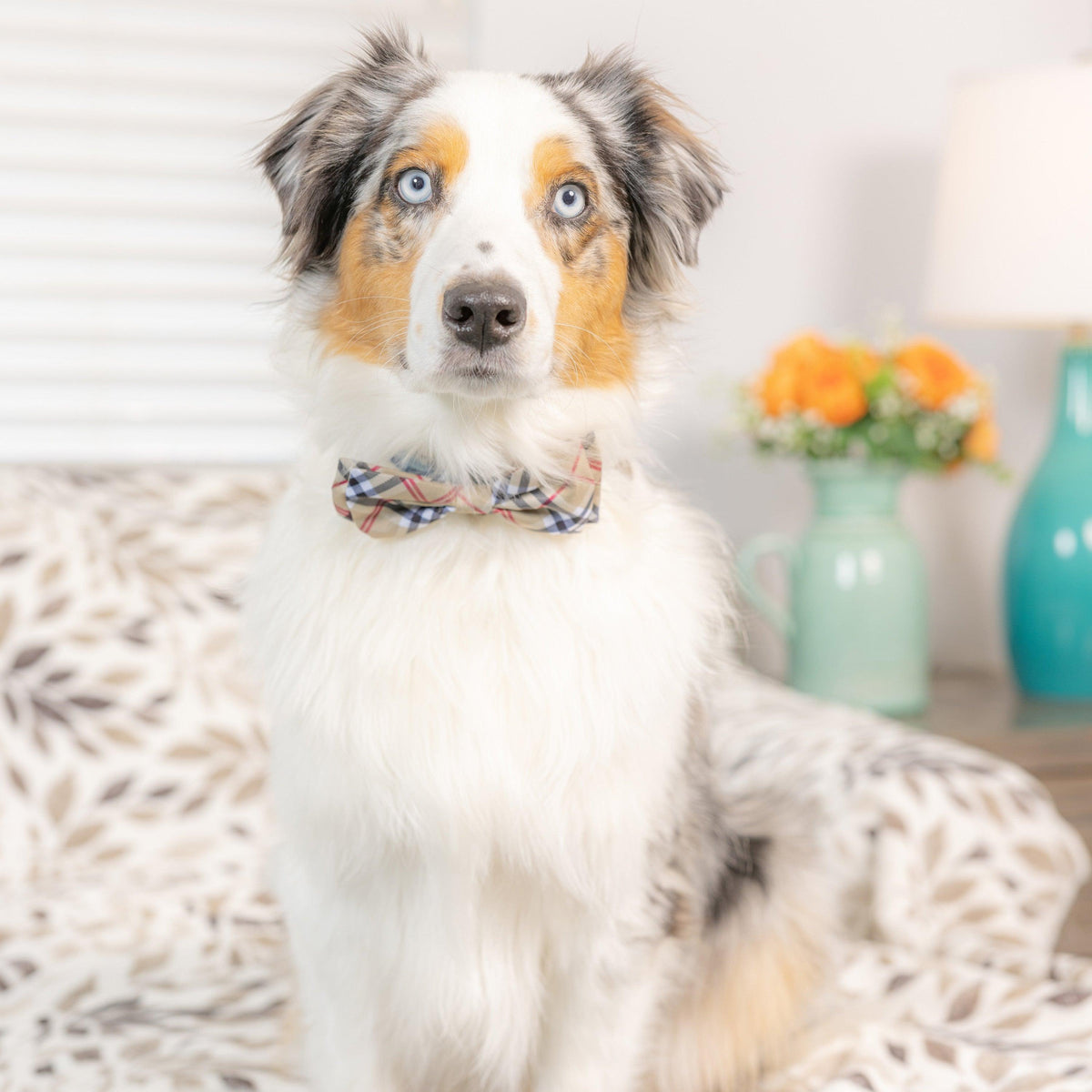 High Street Plaid Bow Tie