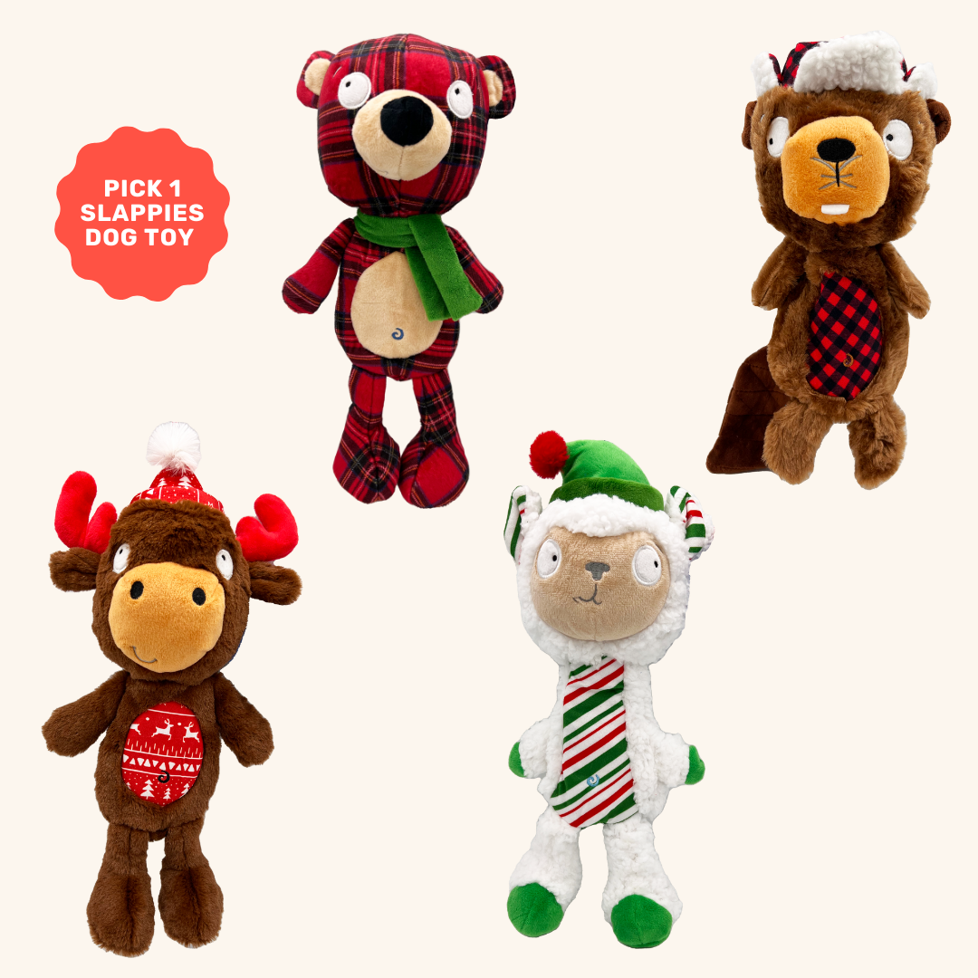 Mix &amp; Match Holiday Dog Stocking Stuffer Bundle (FREE SHIPPING)