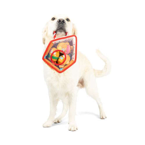Hunt 'n Squeak G-House Dog Toy Huxley & Kent