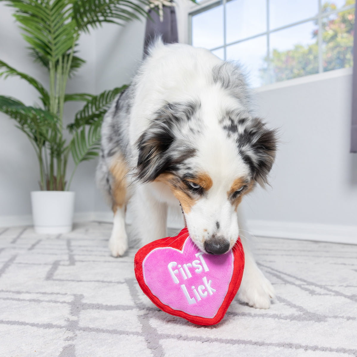 First Lick Heart Dog Toy (Double-Sided)