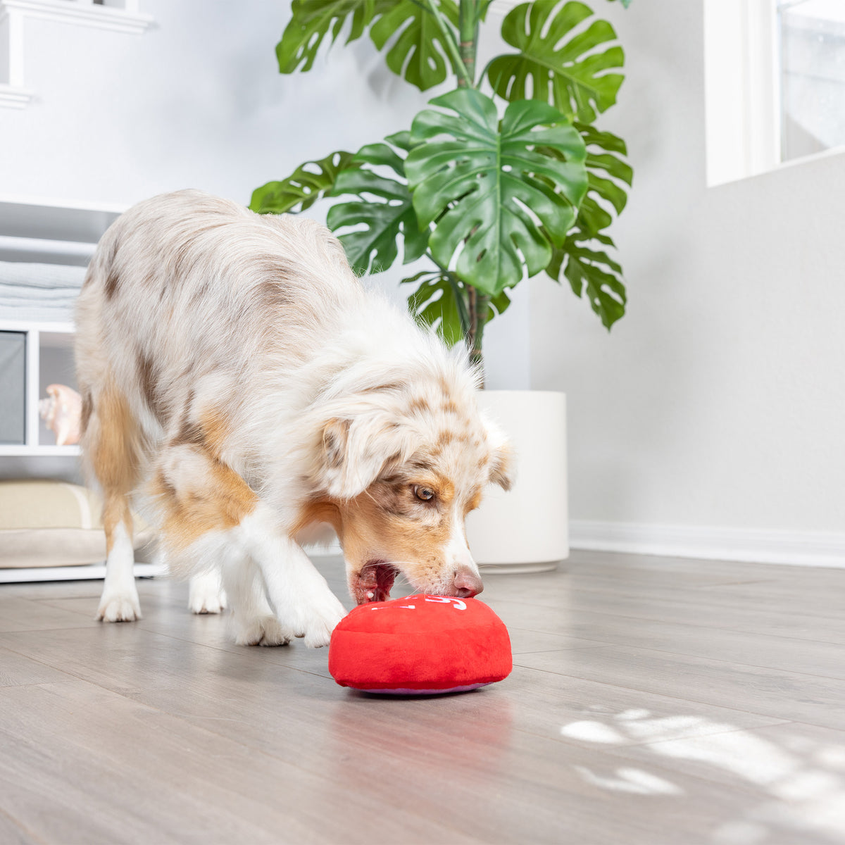 First Lick Heart Dog Toy (Double-Sided)