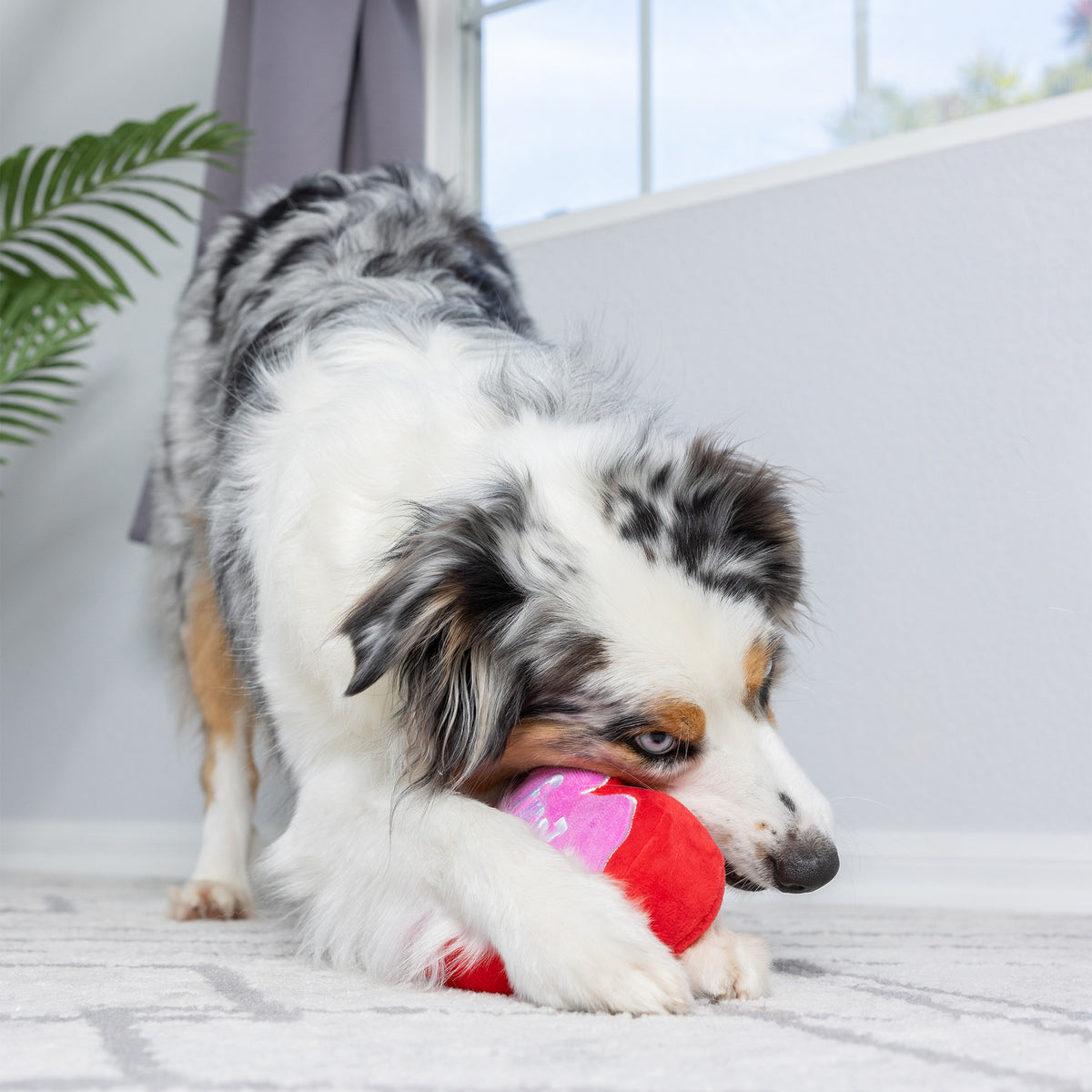 First Lick Heart Dog Toy (Double-Sided)