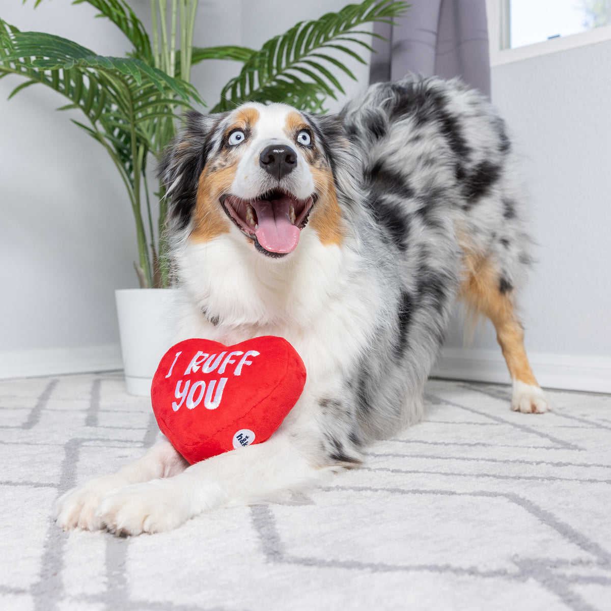 First Lick Heart Dog Toy (Double-Sided)