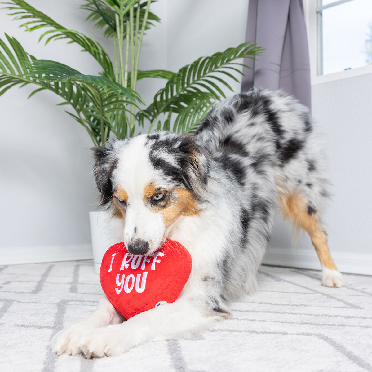 First Lick Heart Dog Toy (Double-Sided)