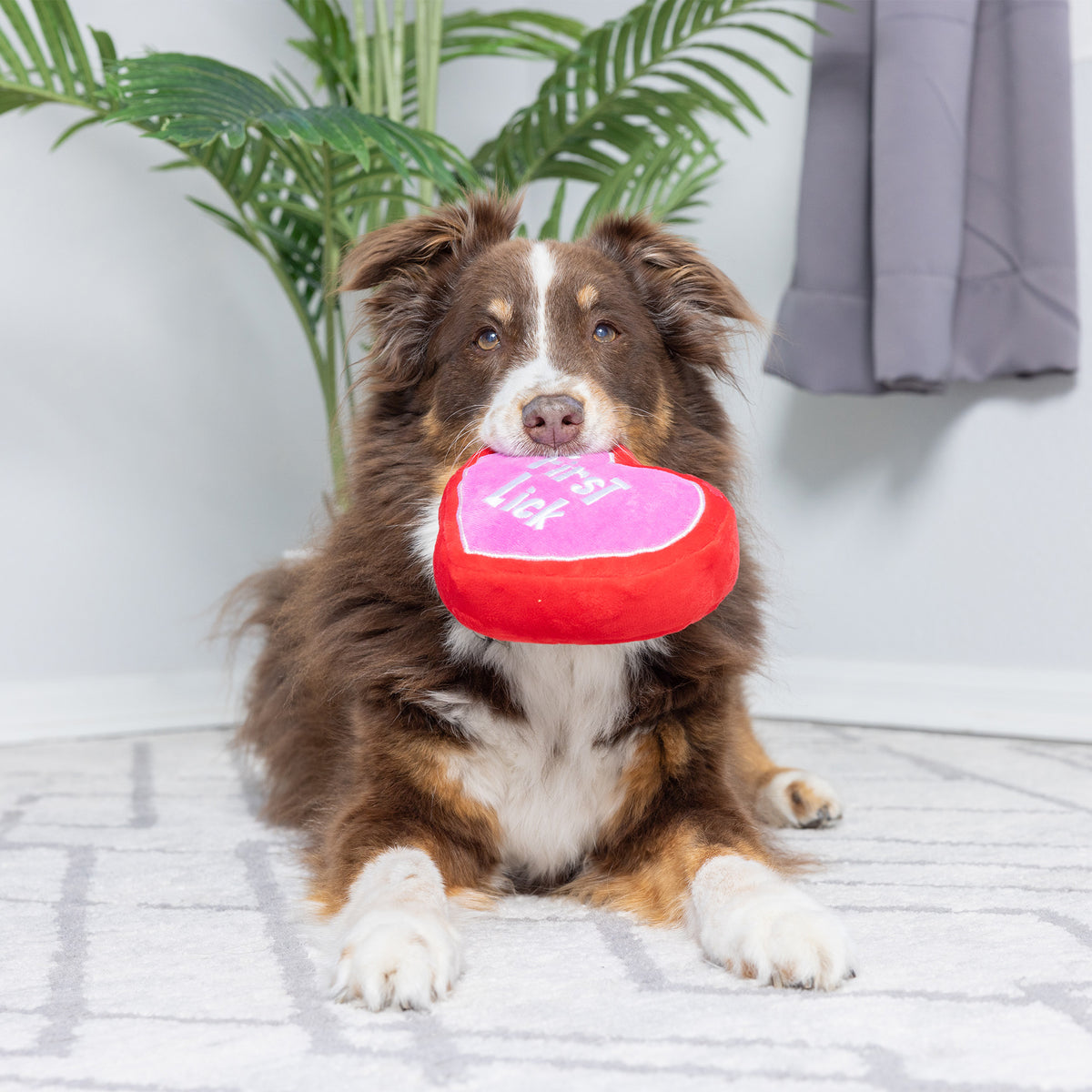 First Lick Heart Dog Toy (Double-Sided)