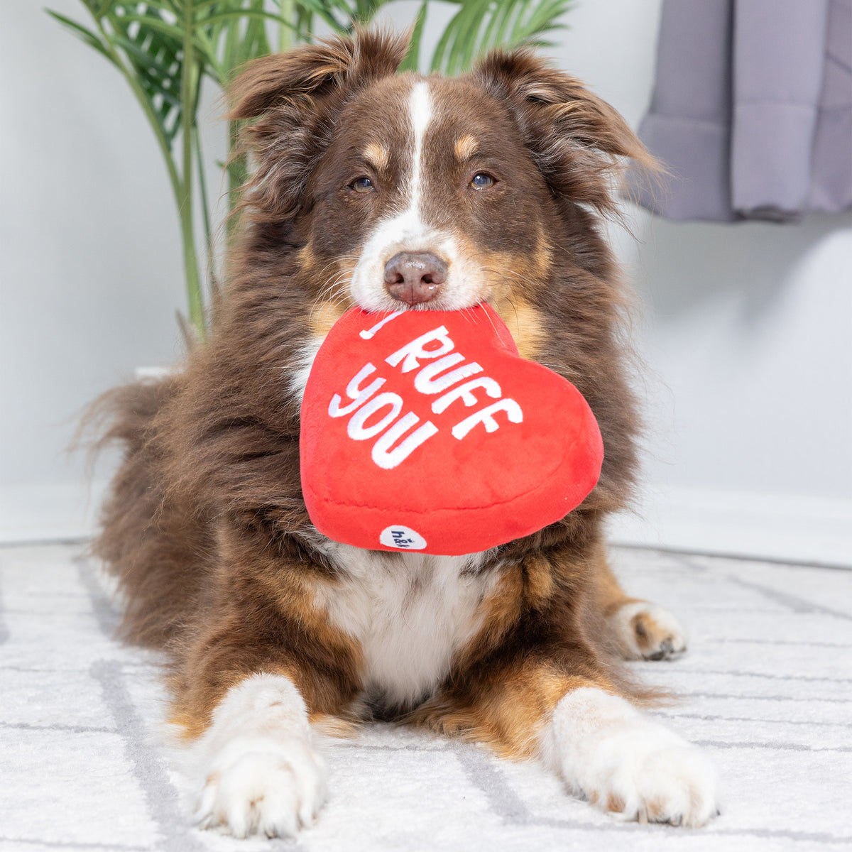 First Lick Heart Dog Toy (Double-Sided)