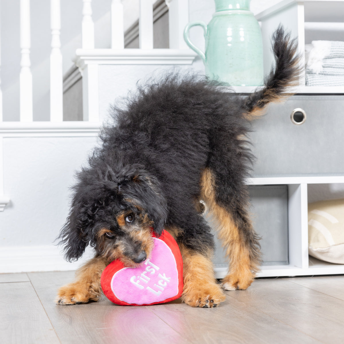 First Lick Heart Dog Toy (Double-Sided)