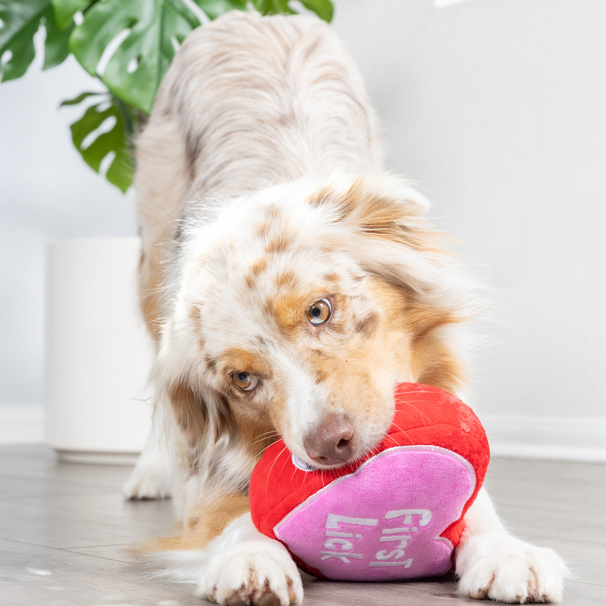 First Lick Heart Dog Toy (Double-Sided)