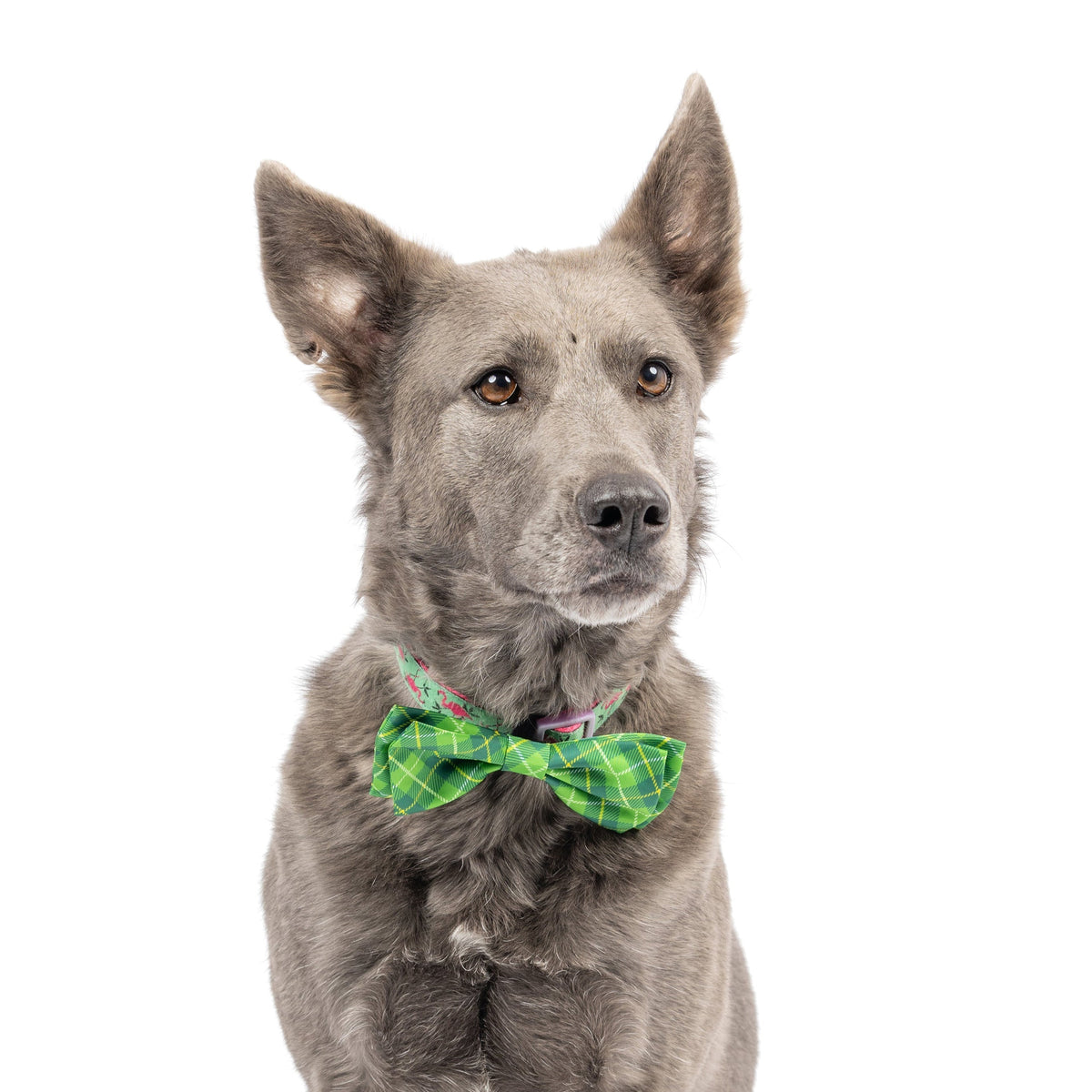 Irish Plaid Bow Tie