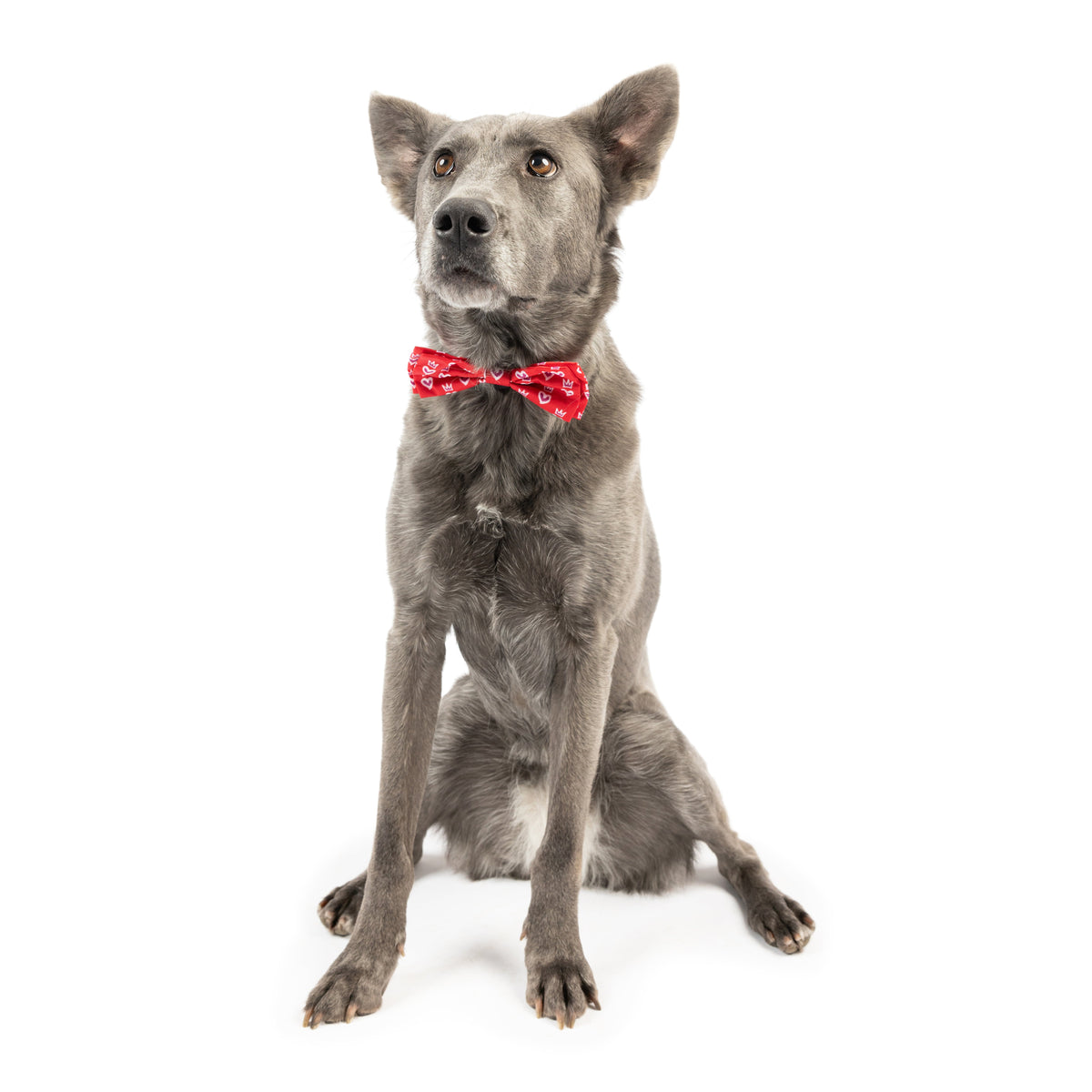 King &amp; Queen of Hearts Bow Tie