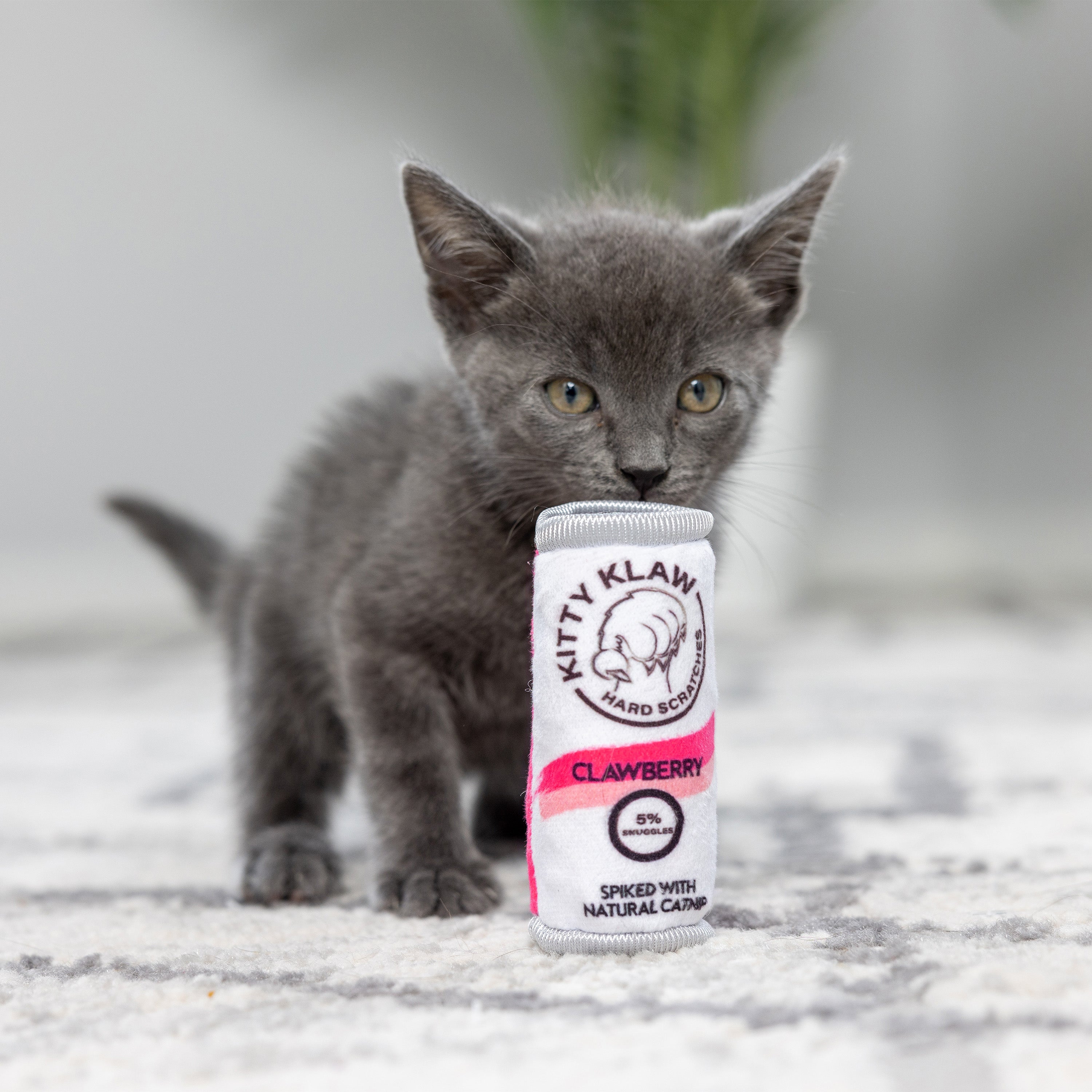 Kitty Klaw Clawberry Cat Toy - Huxley & Kent
