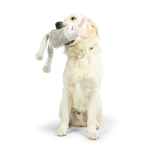 Lankies Binky Bunny Dog Toy