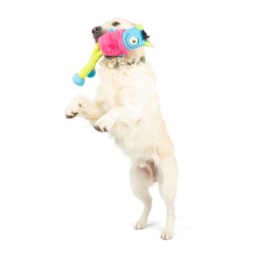 Lankies Gizmo Monster Dog Toy