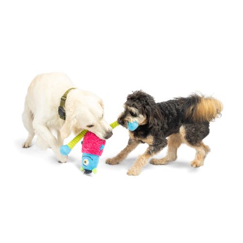 Lankies Gizmo Monster Dog Toy