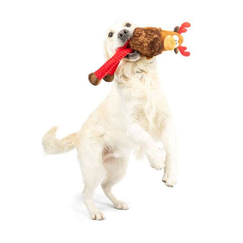 Lankies Monty Moose Dog Toy Huxley & Kent
