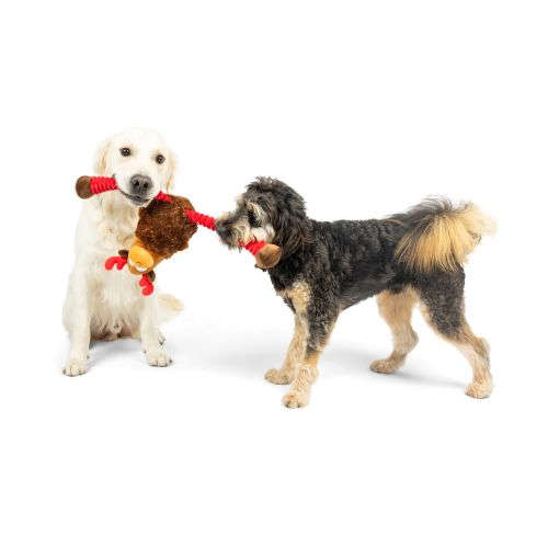 Lankies Monty Moose Dog Toy Huxley & Kent