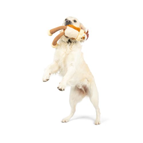 Lankies Sprucey Squirrel Dog Toy