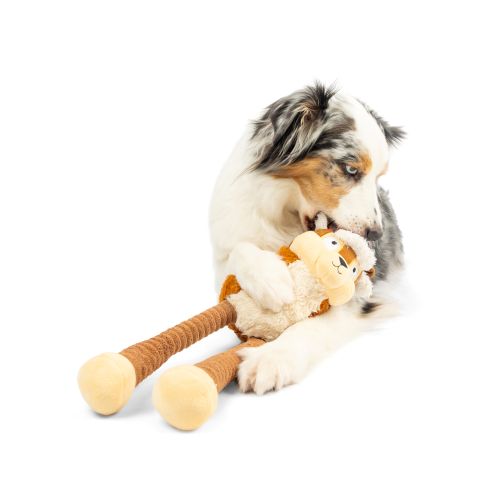 Lankies Sprucey Squirrel Dog Toy