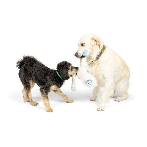 Lankies Yukon Yeti Dog Toy Huxley & Kent