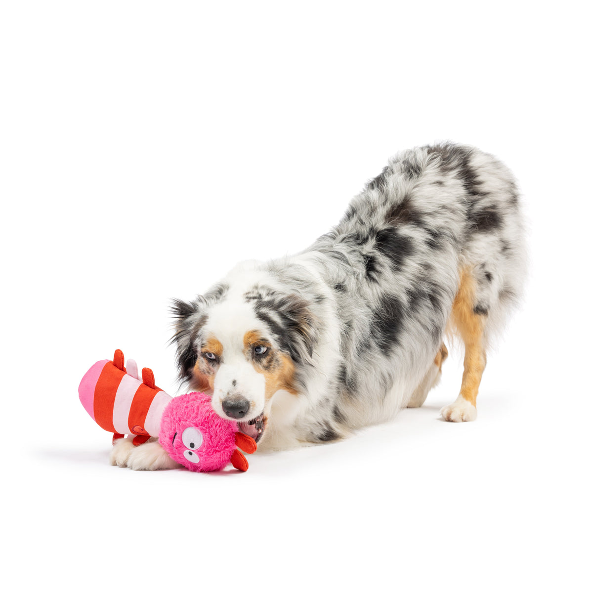 Fetchies® Love Bug Dog Toy