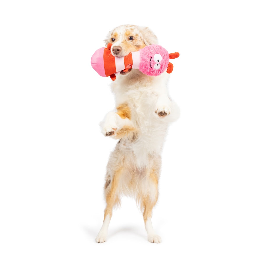 Fetchies® Love Bug Dog Toy