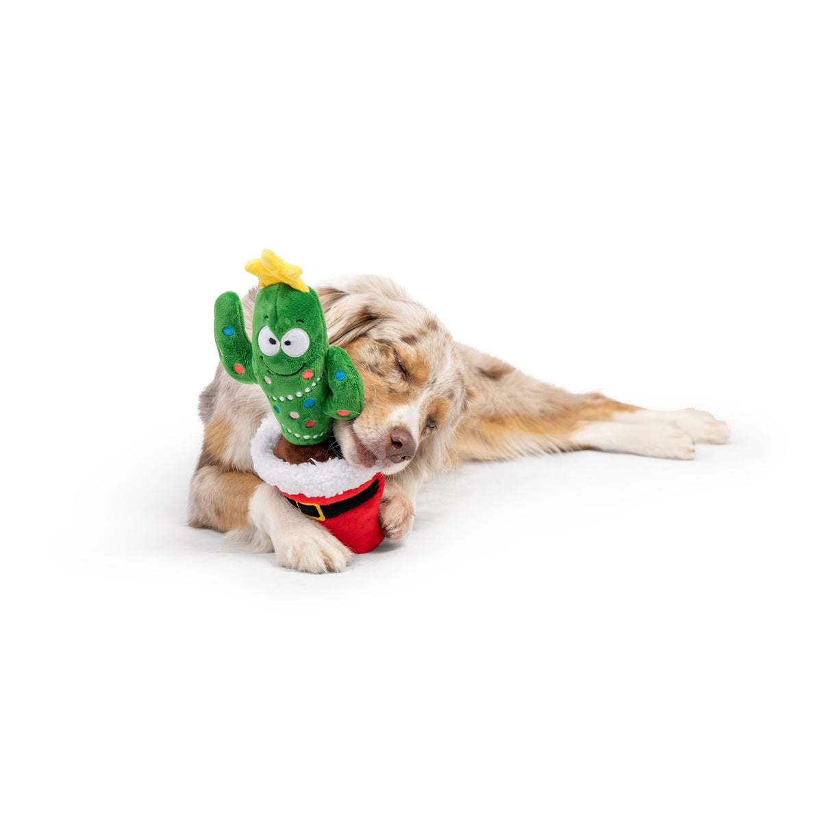 Seek &#39;n Treat Prickly &amp; Bright Pawt Dog Toy