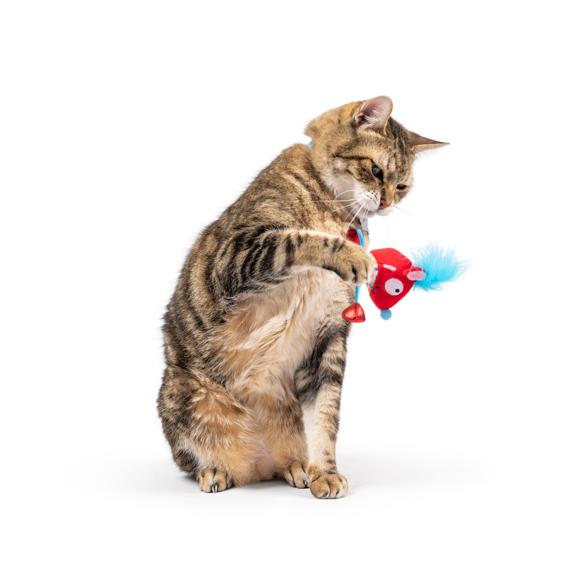 Cheerful Mouse Chirpy Cat Toy