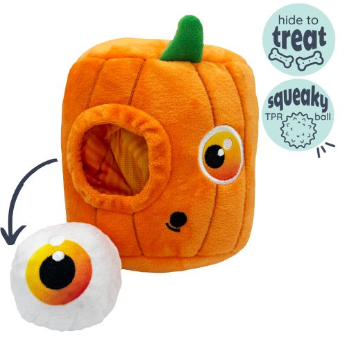 Pumpkin Pop 'n Fetch Pop-Eye Dog Toy
