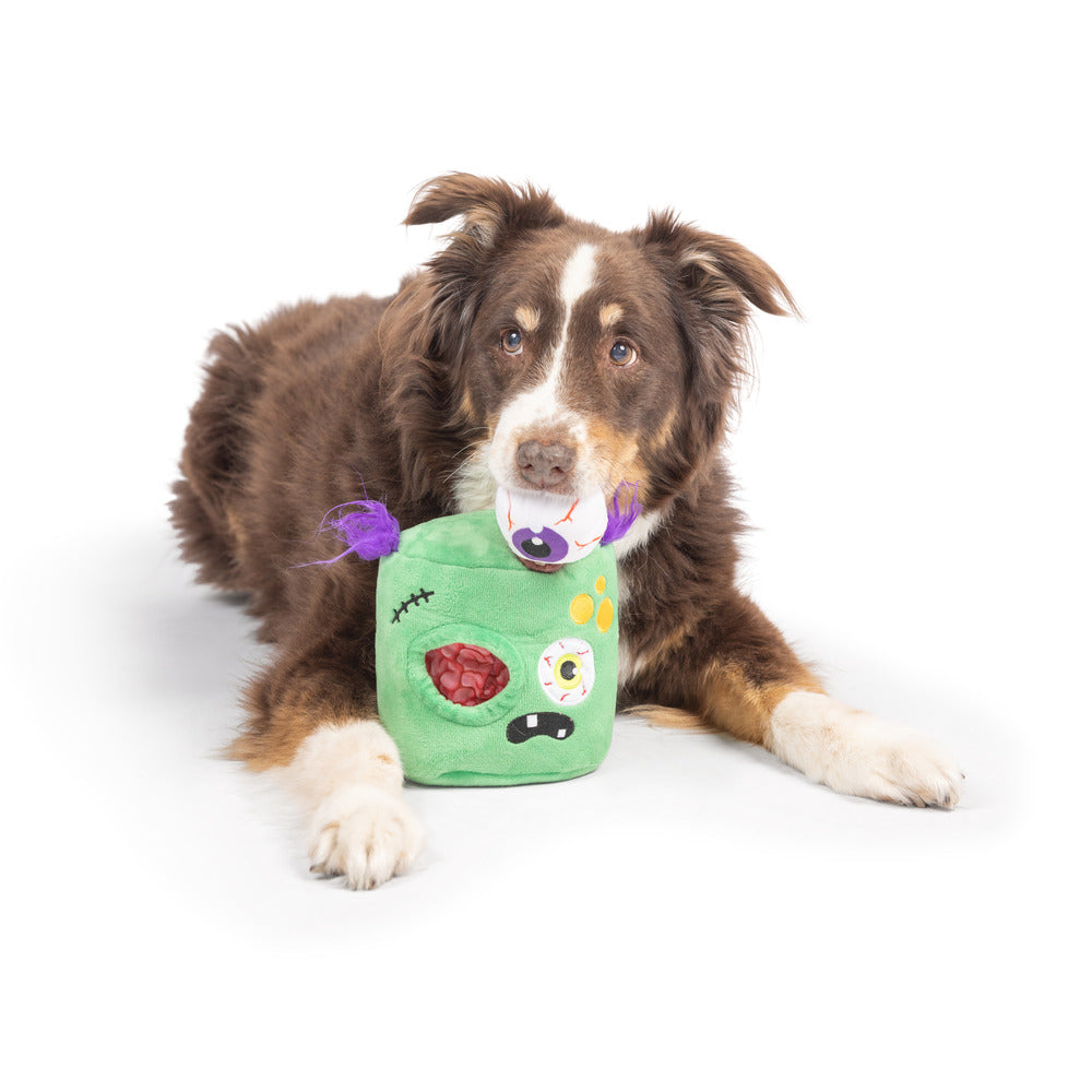 Pop &#39;n Fetch Zombie Pop-Eye Dog Toy