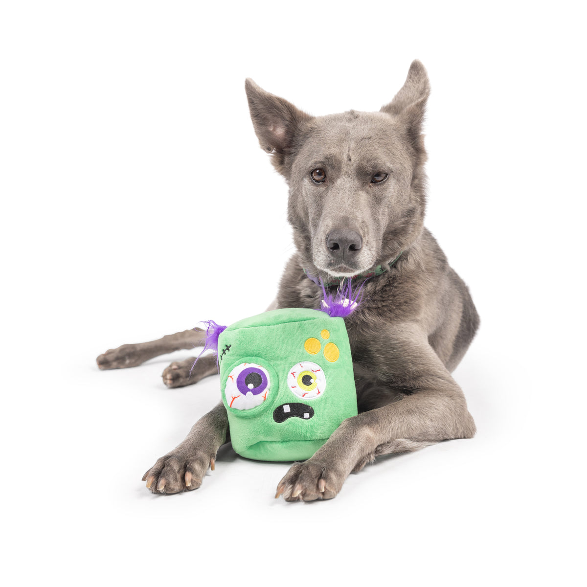 Pop &#39;n Fetch Zombie Pop-Eye Dog Toy