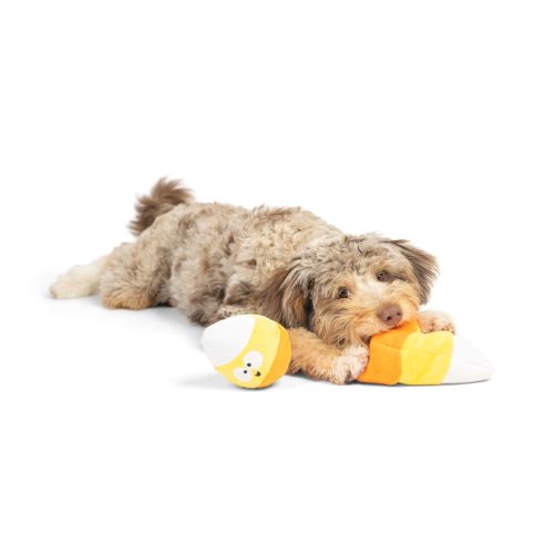 Kookie Korn Pop 'n Fetch Dog Toy