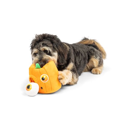 Pumpkin Pop 'n Fetch Pop-Eye Dog Toy
