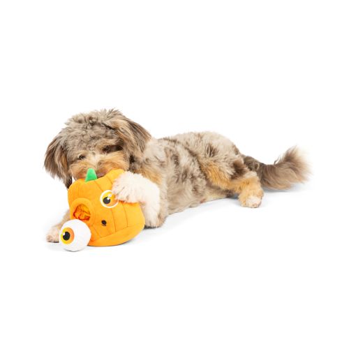 Pumpkin Pop 'n Fetch Pop-Eye Dog Toy