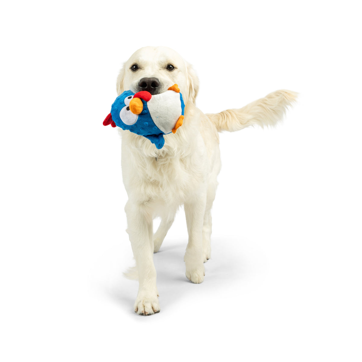 Pudgies Chicken Gordon Bleu Dog Toy